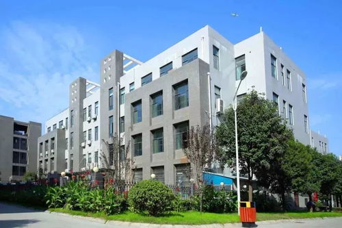 大勢(shì)起，觀未來——原創(chuàng)女裝品牌“銘鴻一族”與箱包風(fēng)尚推薦